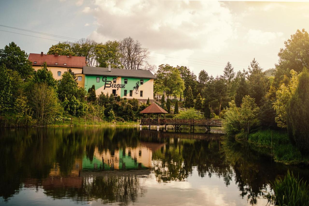 Dom Goscinny Biegun Waldenburg Exterior foto